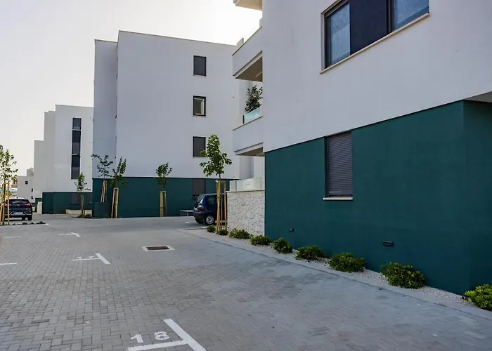 Ena - Borik זאדאר